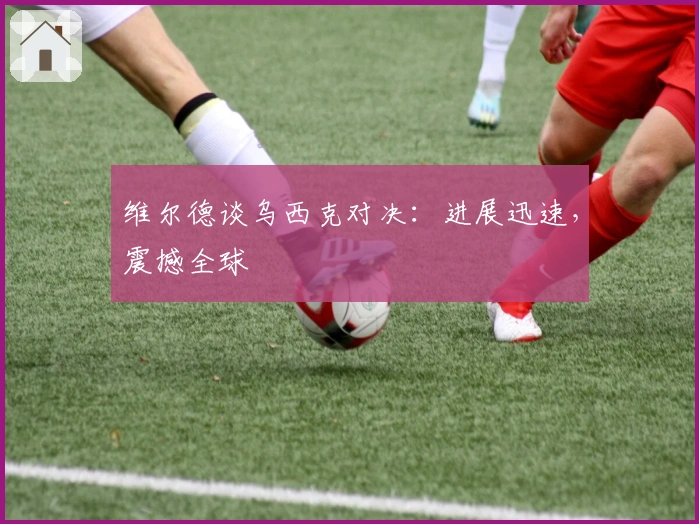 维尔德谈乌西克对决：进展迅速，震撼全球