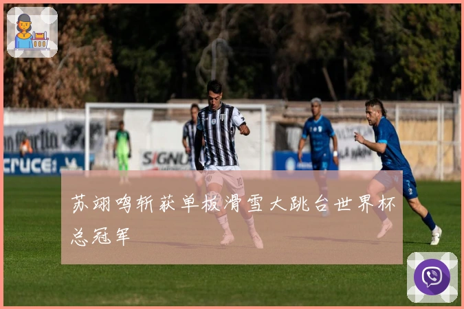 苏翊鸣斩获单板滑雪大跳台世界杯总冠军