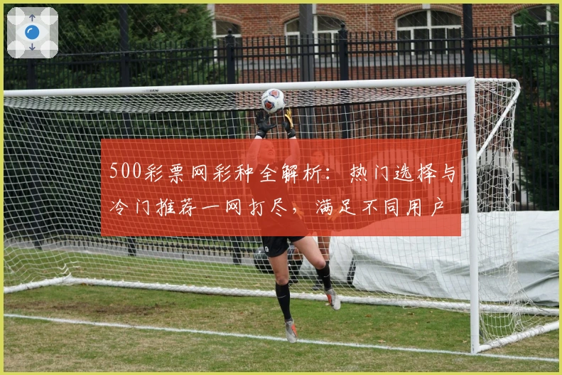 500彩票网彩种全解析：热门选择与冷门推荐一网打尽，满足不同用户需求