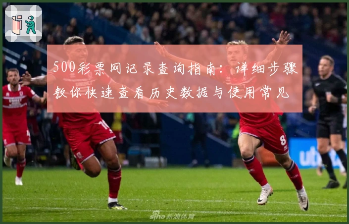 500彩票网记录查询指南:详细步骤教你快速查看历史数据与使用常见问题解答