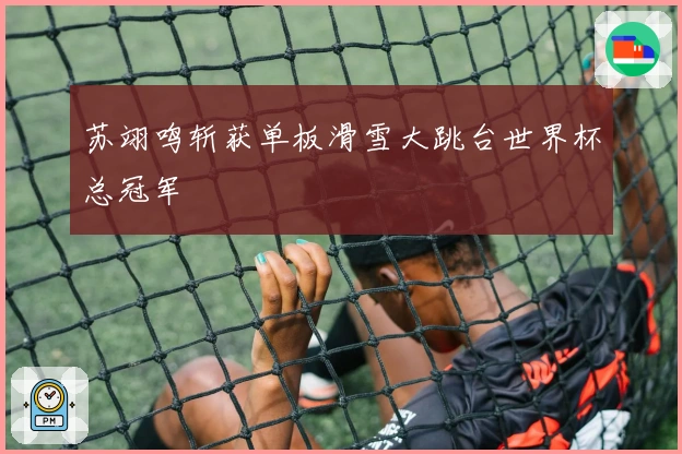 苏翊鸣斩获单板滑雪大跳台世界杯总冠军