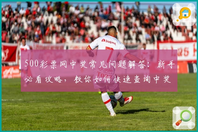 500彩票网中奖常见问题解答：新手必看攻略，教你如何快速查询中奖结果