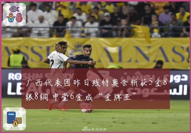 广西代表团昨日残特奥会斩获5金8银8铜 申莹6金成“金牌王”